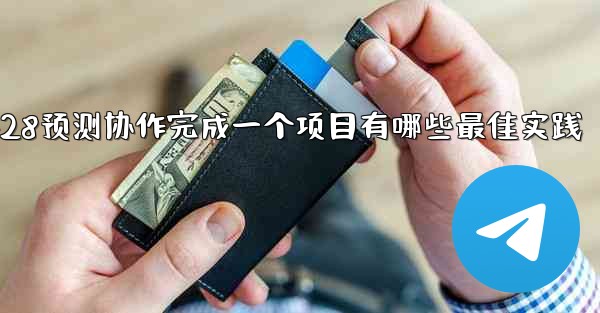 方法用pc28预测协作完成一个项目有哪些最佳实践