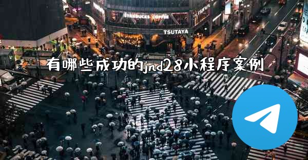 有哪些成功的jnd28小程序案例