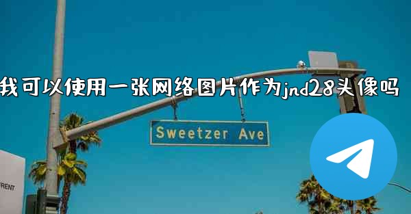 我可以使用一张网络图片作为jnd28头像吗