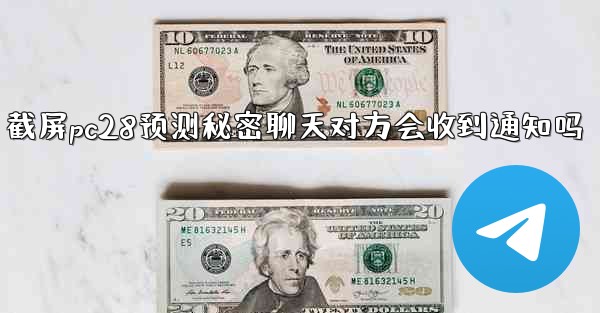 截屏pc28预测秘密聊天对方会收到通知吗