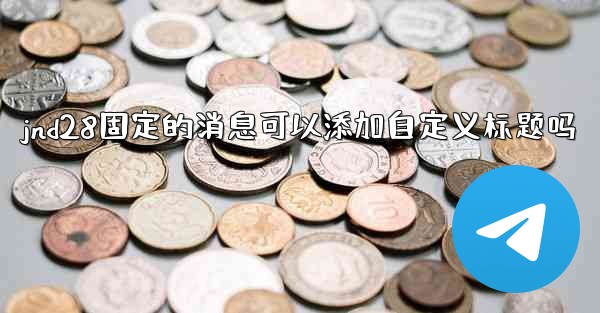 jnd28固定的消息可以添加自定义标题吗