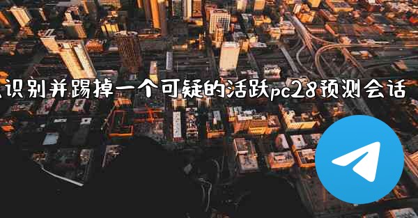 方法识别并踢掉一个可疑的活跃pc28预测会话