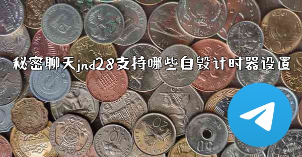 秘密聊天jnd28支持哪些自毁计时器设置