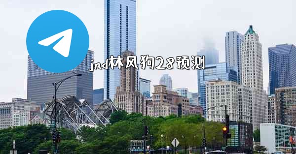 jnd林风狗28预测