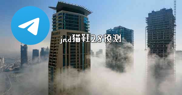 jnd猫鞋28预测