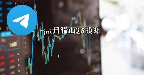 jnd月猫山28预测