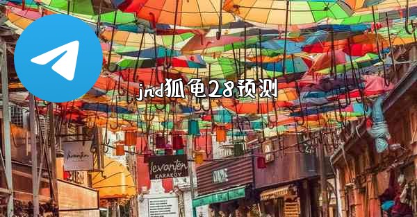 jnd狐龟28预测