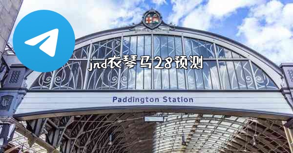 jnd衣琴马28预测