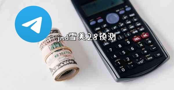 jnd雪美28预测