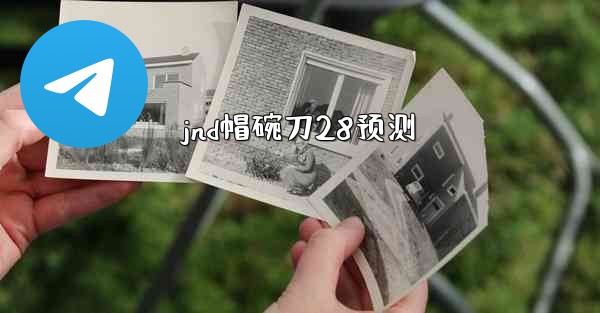 jnd帽碗刀28预测