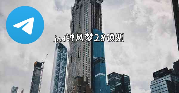 jnd钟风梦28预测
