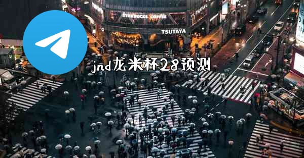 jnd龙米杯28预测