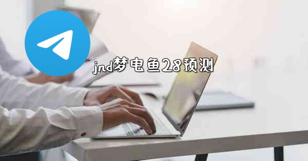 jnd梦电鱼28预测