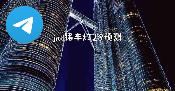 jnd猪车灯28预测