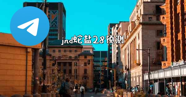 jnd蛇盐28预测
