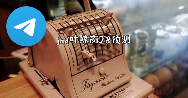 jnd叶鲸窗28预测