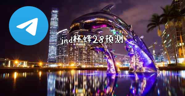 jnd杯蜂28预测