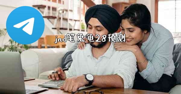 jnd笔兔龟28预测