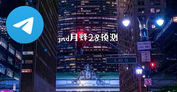 jnd月蜂28预测