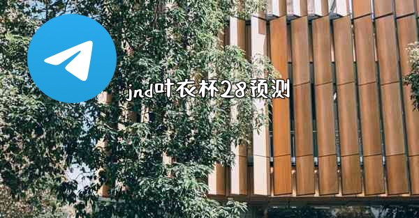 jnd叶衣杯28预测