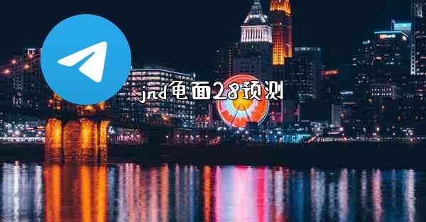 jnd龟面28预测