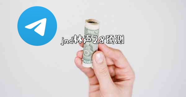jnd林声28预测