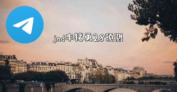 jnd车猪勇28预测
