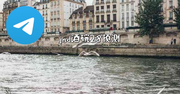 jnd酒碗28预测