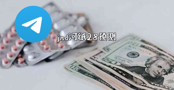 jnd河纸28预测