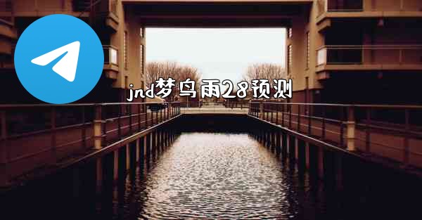 jnd梦鸟雨28预测