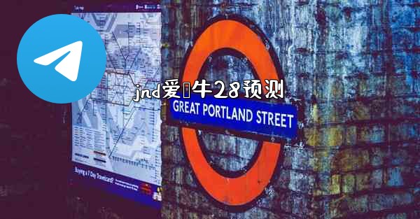 jnd爱鹅牛28预测
