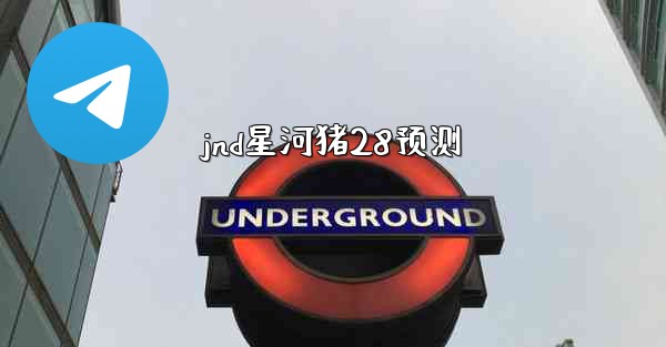 jnd星河猪28预测