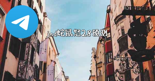 jnd蛇鼠怒28预测