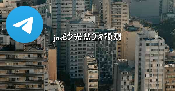 jnd沙光盐28预测