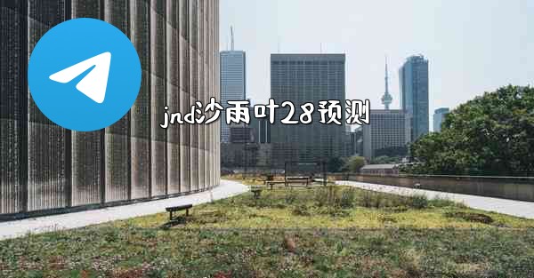 jnd沙雨叶28预测