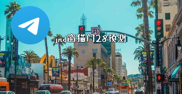 jnd窗猫门28预测