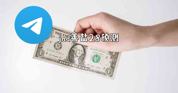 jnd善盐28预测