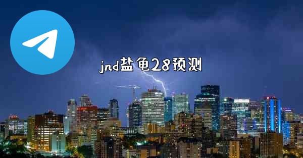 jnd盐龟28预测