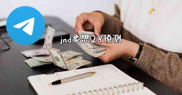 jnd象思28预测