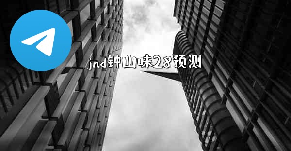 jnd钟山味28预测