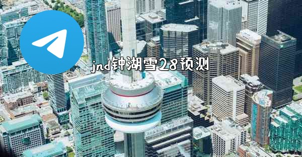 jnd钟湖雪28预测