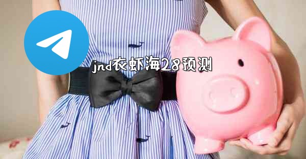 jnd衣虾海28预测