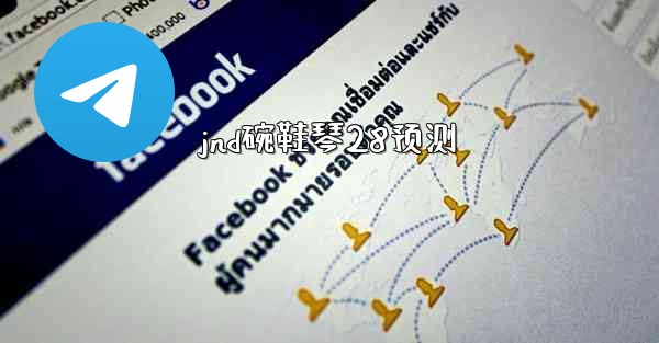 jnd碗鞋琴28预测