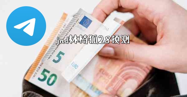 jnd林椅狐28预测