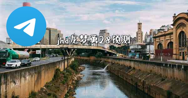 jnd龙梦勇28预测