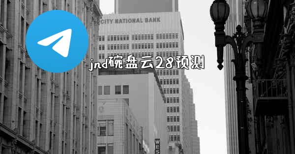 jnd碗盘云28预测
