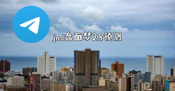 jnd盘面梦28预测