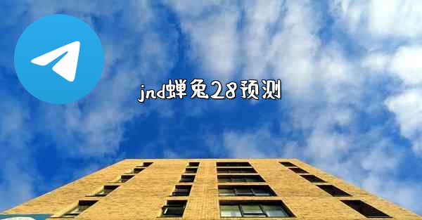 jnd蝉兔28预测