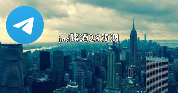 jnd猪酒28预测