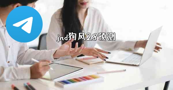jnd狗风28预测
